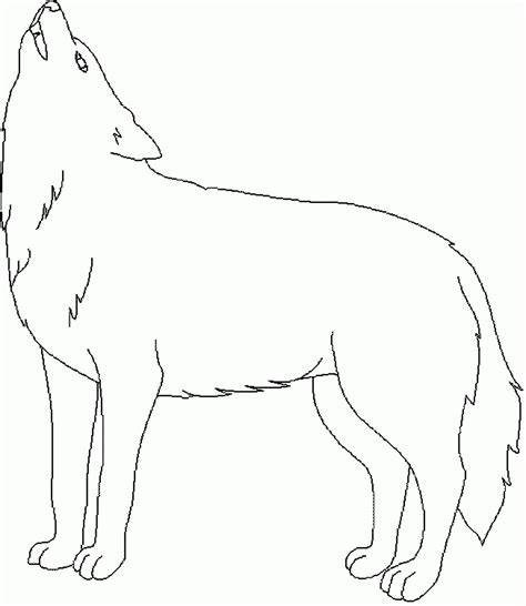 Imagenes De Lobo Gris Para Dibujar - Fin Construir