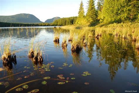 100 Lakes on Vancouver Island: Goose Lake