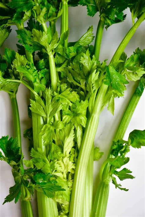 Green Detox Celery Juice Blend - Alphafoodie