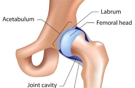 Are you a Triathlete with Hip Labrum Issues? – TAI Chiropractic