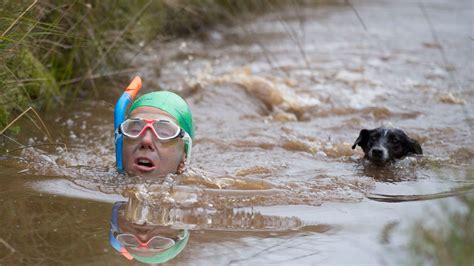 Bog snorkelling: the history of this unlikely sport, and why you should give it a try - TrendRadars