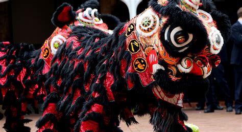 Chinese Lion Dance by May Wang - Cultural Infusion