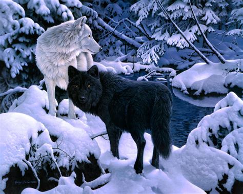 Animal Wolf Snow Tree Forest Winter Artistic Wallpaper | Videos de animales salvajes, Pareja de ...