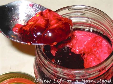 How To Make Delicious Raspberry Jelly (With Pectin)