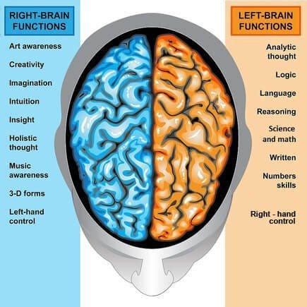 Midbrain activation techniques. The midbrain is a vital part of our ...