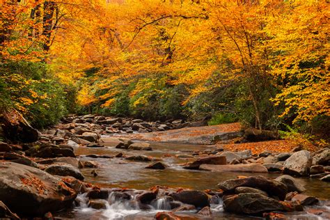 Fall Color Over Stream Smoky Mountains Fine Art Photo Print | Photos by ...