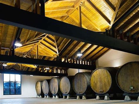 Spanish Cider: One of Spain's Best Kept Secrets | Cellar Tours™