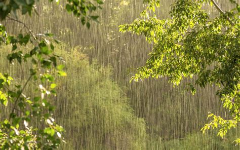 Rain Falls in Igatpuri - A Monsoon Adventure You Can't Resist - Hotel Ashwin Igatpuri