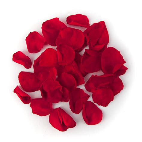 Red Coloured Rose Petal Sample - Real Flower Petal Confetti Co