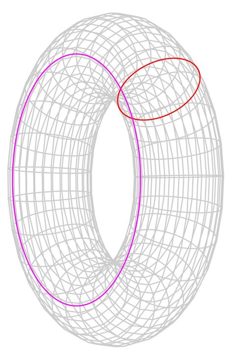 Poincaré conjecture - Wikipedia