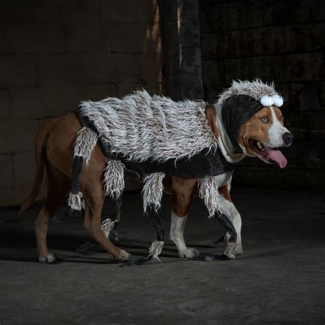 10 Scream-worthy Scary Dog Costumes for Halloween