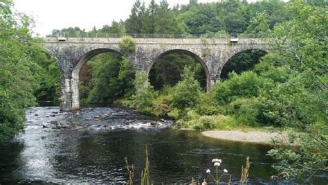 Walk of the Month: Avondale Forest Park – River Walk - The Garda Post