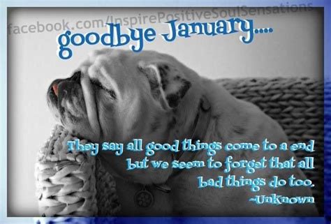 January | January (inc. New Year) | Funny thoughts, Positive inspiration, You funny