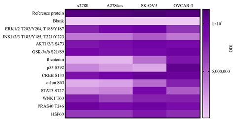 IJMS | Free Full-Text | Impact of Selected Signaling Proteins on SNAIL ...