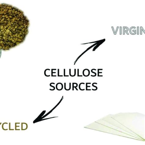 Cellulose sources considered for the production of cellulose nanofibers ...