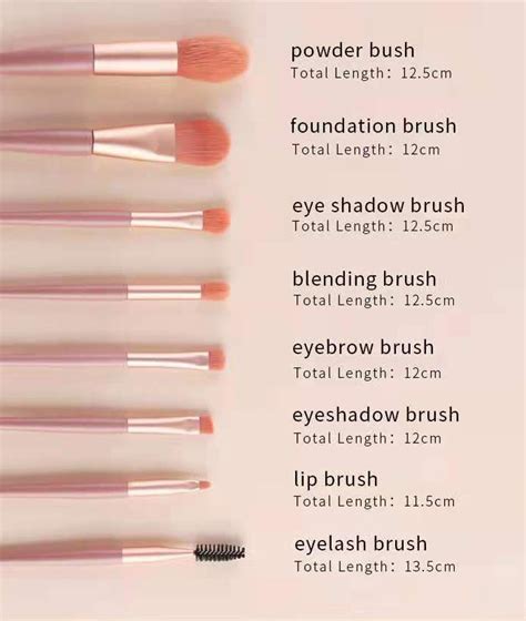 Types Of Makeup Brushes And Their Functions | Saubhaya Makeup