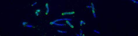 News | Hyperthermophile Research Group