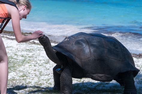 10 Family-Friendly Activities to Do in the Seychelles