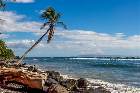 The Best Beaches in Hawaii to Visit in Your Lifetime | Reader's Digest