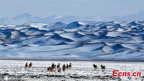 Scenery of Altun Mountains National Nature Reserve in Xinjiang