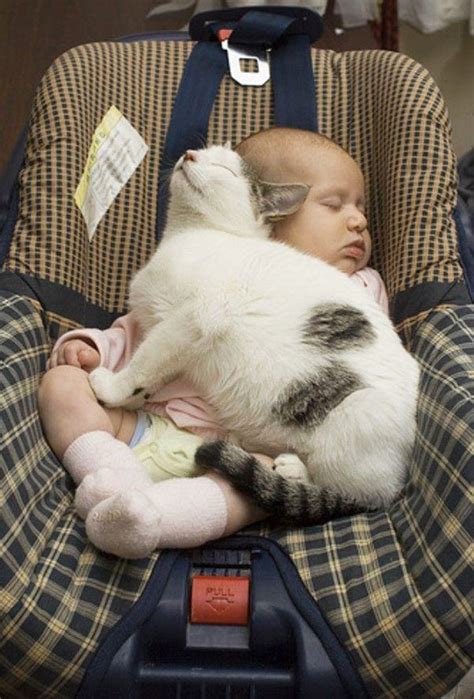 50 Adorable Photos Proving That Your Kids Need A Cat | Bored Panda