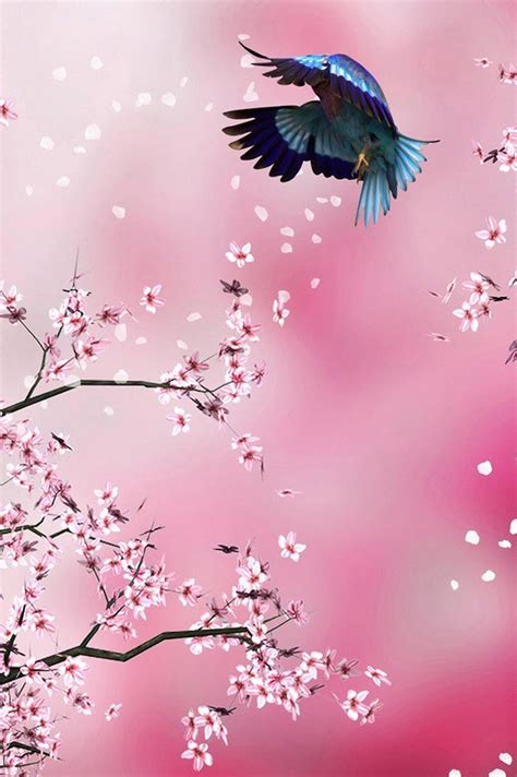 Birds and Flowers – Music Evening