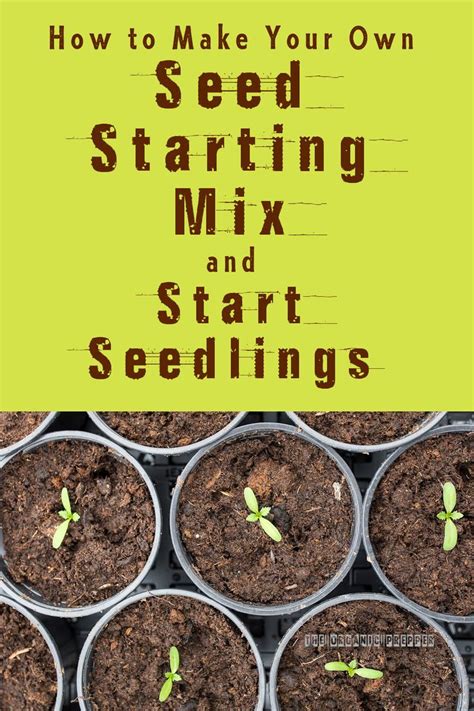 How to Make Your Own Seed Starting Mix and Start Seedlings | Seed starting mix, Seed starting ...