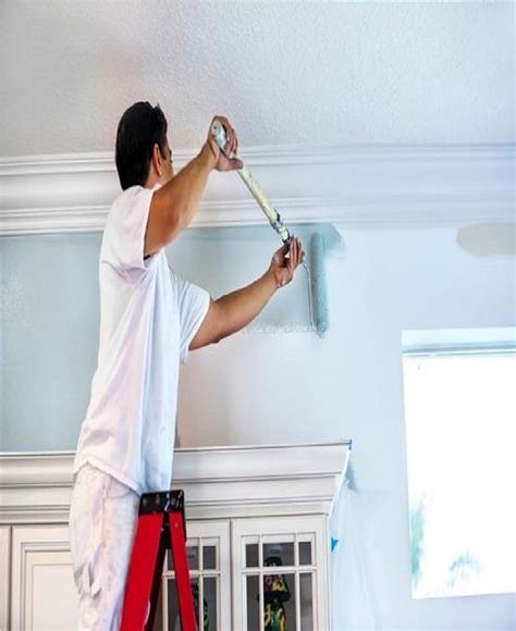 Residential Interior Painting Services at Rs 17/square feet | residential painting service ...