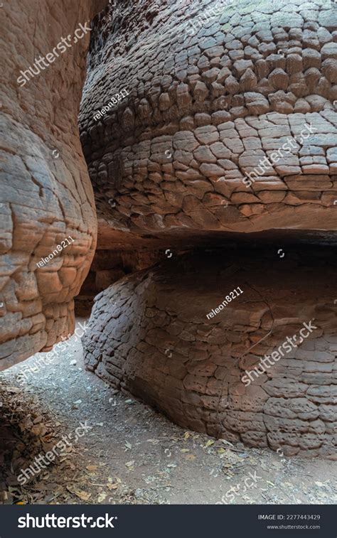 Naka Cave Giant Snake Scale Stone Stock Photo 2277443429 | Shutterstock