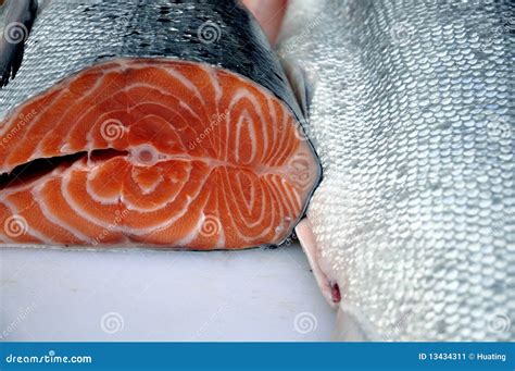 Fish meat stock image. Image of cooking, prepare, orange - 13434311