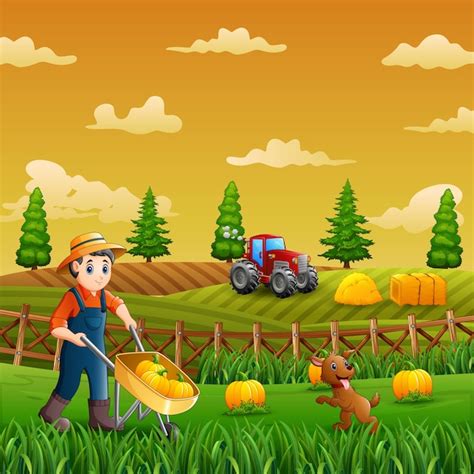 Premium Vector | A farmers harvesting pumpkins in the farm