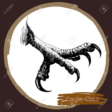 Eagle Claw Drawing at GetDrawings | Free download