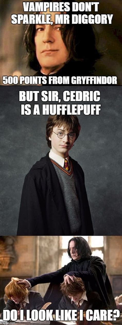 Harry Potter: 10 Hilarious Gryffindor Memes That Are Too Funny | Harry potter feels, Harry ...