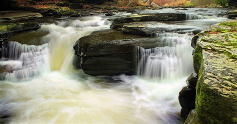 Hike the Waterfall Glen Trail, Waterfall Glen Forest Preserve