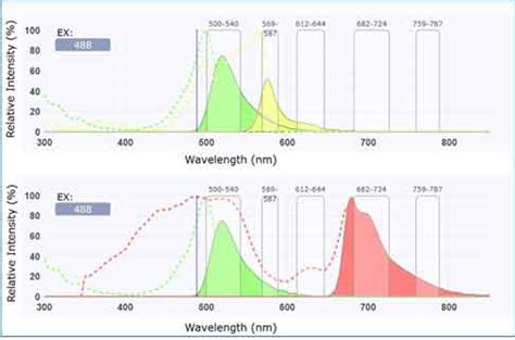 21 Bd flow cytometry panel design With Creative Desiign | In Design Pictures