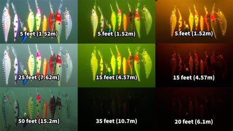 How to Choose the Right Lure Color