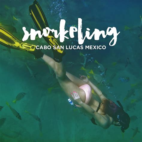 Snorkeling Cabo San Lucas with Cabo Expeditions