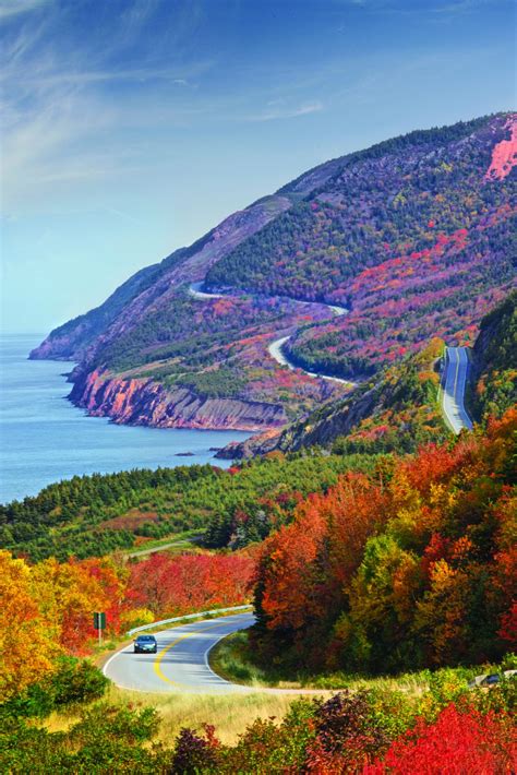 Nova Scotia Fall Foliage 2024 - Pepi Trisha