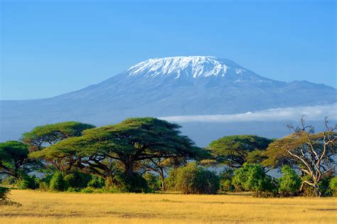 8 Nights, 9 Days Mt Kilimanjaro Machame Route - Go Places Holidays