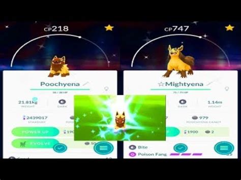 Pokemon Go - Shiny Poochyena Catch & Shiny Mightyena Evolution, Lunar New Year Event - YouTube