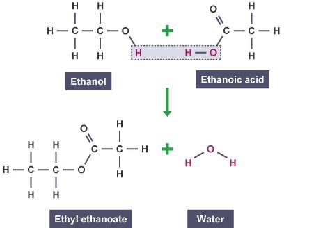 BBC - GCSE Bitesize Science - Organic chemistry : Revision, Page 6