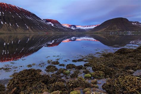 In-Depth 5 Day Sightseeing Tour of Iceland's Westfjords w...