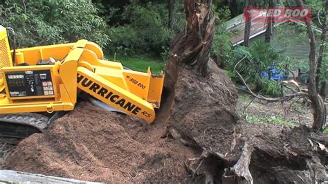 Tree Root Removal Removing Tree Roots - YouTube