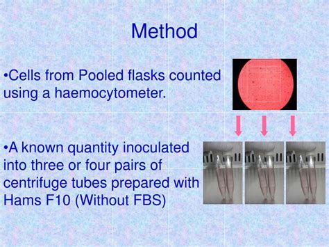 PPT - Effect of Centrifugation Time and Speed (G-Force) on Amniocyte Cell Yield PowerPoint ...