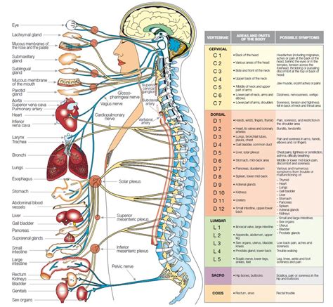 Neurobiology Physiology and Behavior – Student to Student