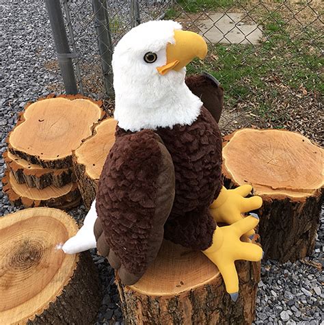 Plush Eagle Toy | American Eagle Foundation