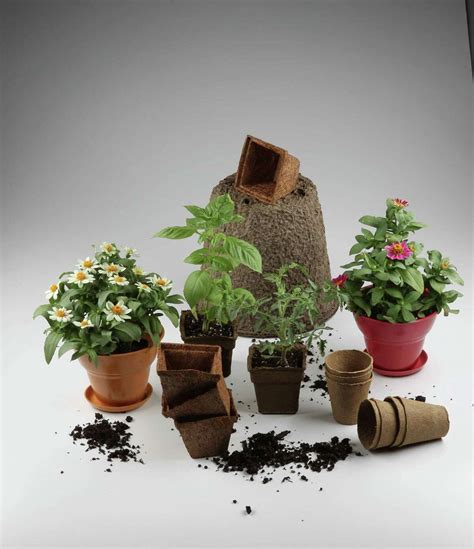 Gardeners go green with biodegradable pots