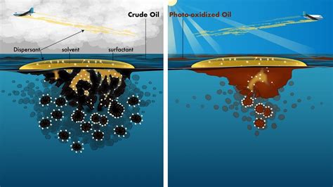 Reassessing Guidelines for Oil Spill Cleanups – Woods Hole ...