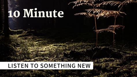 10 Min Nature Night Sounds Without Music | Insects, Crickets, Frogs sound | nca - YouTube