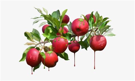 Apple Tree Wallpaper Hd PNG Image | Transparent PNG Free Download on SeekPNG